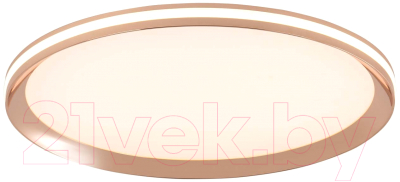 Потолочный светильник LED4U L3020-400 GD - фото