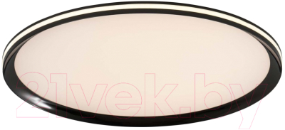 Потолочный светильник LED4U L3020-500 BK - фото