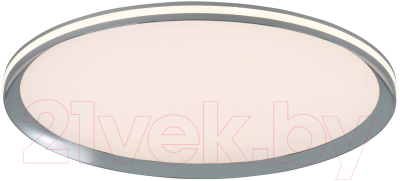 Потолочный светильник LED4U L3020-500 CR - фото