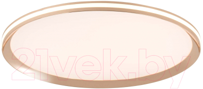 Потолочный светильник LED4U L3020-500 GD - фото