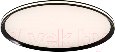 Потолочный светильник LED4U L3020-600 BK - фото