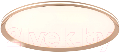 Потолочный светильник LED4U L3020-600 GD - фото