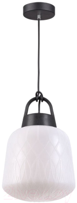 Потолочный светильник Novotech Conte 370601 - фото