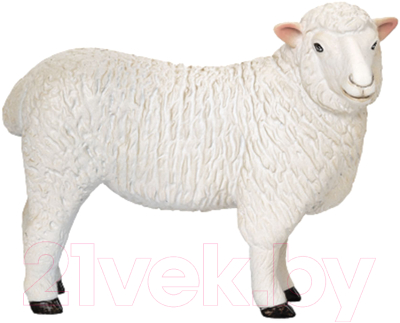 Фигурка коллекционная Konik Овца ромни / AMF1117 - фото