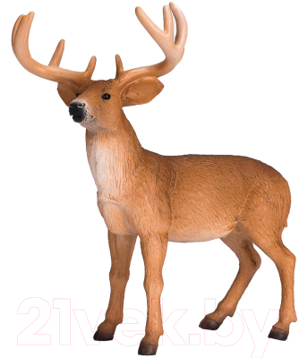 Фигурка коллекционная Konik Белохвостый олень / AMW2045