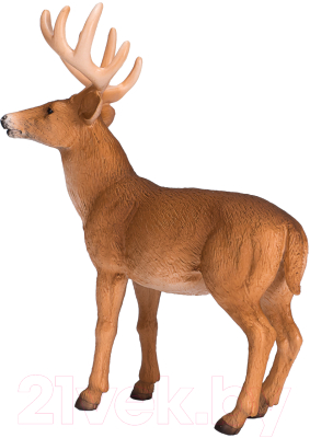 Фигурка коллекционная Konik Белохвостый олень / AMW2045