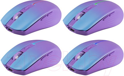 Мышь Defender Mystery MM-301 / 52301