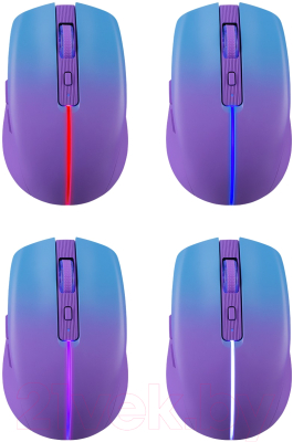 Мышь Defender Mystery MM-301 / 52301