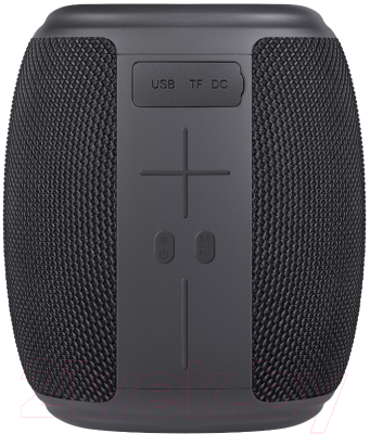 Портативная колонка Defender Enjoy S550 / 65553