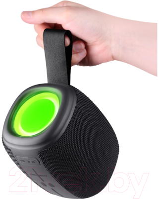 Портативная колонка Defender Enjoy S550 / 65553