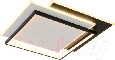 Потолочный светильник Rivoli Beryl 6122-101 / Б0061875 - фото