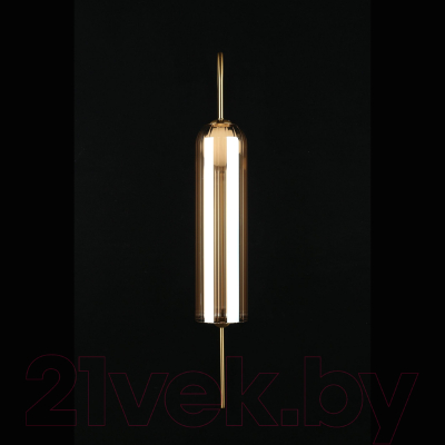 Бра Aployt APL.325.21.01