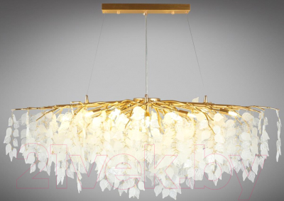 Люстра Aployt APL.849.13.13 - фото