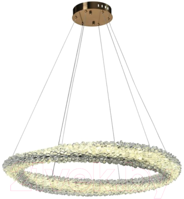 Потолочный светильник Aployt APL.853.03.88 - фото