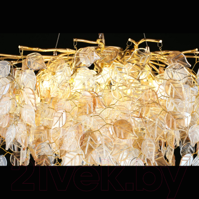 Люстра Aployt APL.850.03.10