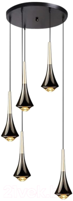 Люстра Aployt APL.784.06.05 - фото