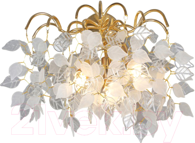 Бра Aployt APL.849.01.03 - фото