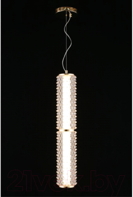 Потолочный светильник Aployt APL.331.06.29