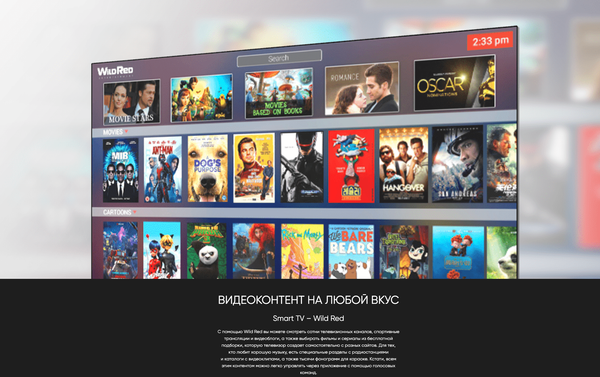 Телевизор Topdevice TDTV24CS04HBK
