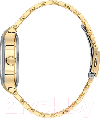 Часы наручные мужские Daniel Klein 13657-5