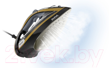 Утюг Tefal FV9865E0