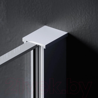 Душевая стенка AM.PM Func 110x200 / W84WI-110-F1-MTE