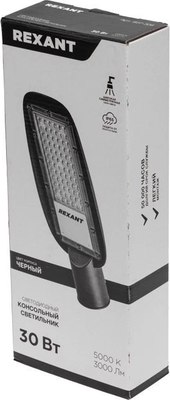 Светильник уличный Rexant 607-306 