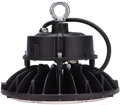 Светильник ЖКХ Rexant 607-299 