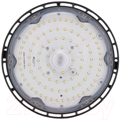 Светильник ЖКХ Rexant 607-299 