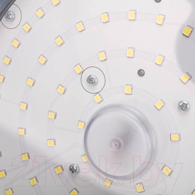 Светильник ЖКХ Rexant 607-299 