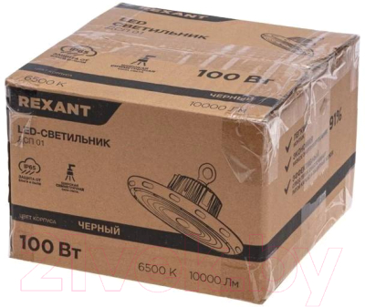 Светильник ЖКХ Rexant 607-299 