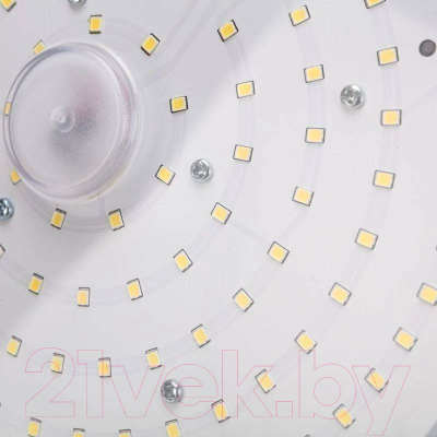 Светильник ЖКХ Rexant 607-298