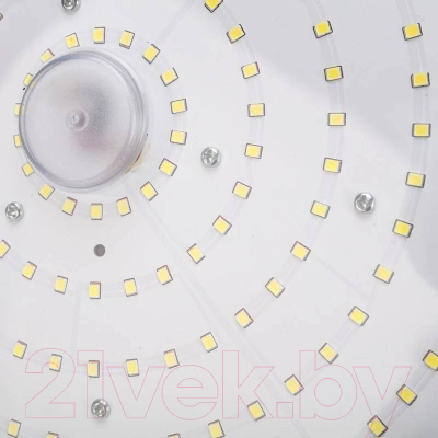 Светильник ЖКХ Rexant 607-297 