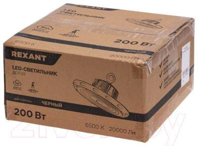 Светильник ЖКХ Rexant 607-297 