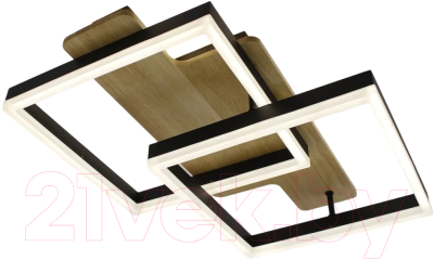 Потолочный светильник Estares Woody Loft 85W 2S-APP-500x430x135-BLACK/W00D-220-IP20 - фото