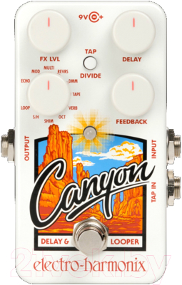 Педаль электрогитарная Electro-Harmonix Canyon Delay and Looper - фото