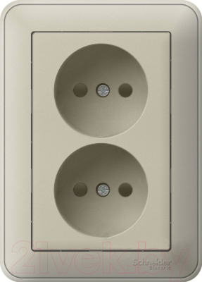 Розетка Schneider Electric W59 RS16-254-48 - фото