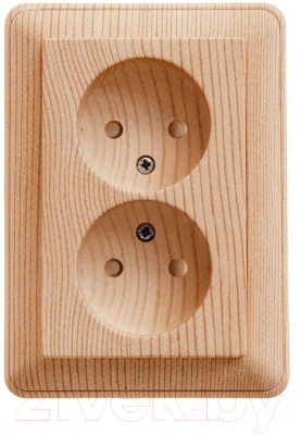 Розетка Schneider Electric W59 RS16-254-78 - фото