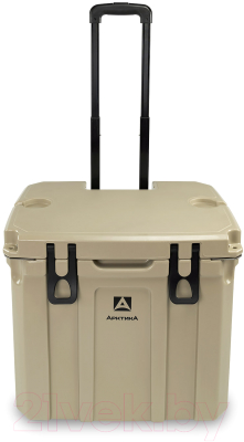 Термоконтейнер Арктика 2600-35W-BG 