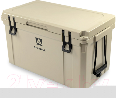 Термоконтейнер Арктика 2600-55-BG 