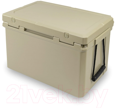 Термоконтейнер Арктика 2600-55-BG 