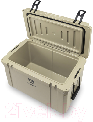 Термоконтейнер Арктика 2600-55-BG 