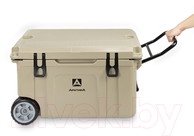 Термоконтейнер Арктика 2600-55W-BG 