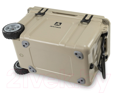 Термоконтейнер Арктика 2600-55W-BG 