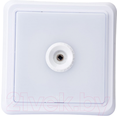 Светильник ЖКХ INhome СПБ-2Д-Квадрат / 4690612022079 - фото