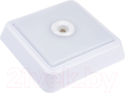 Светильник ЖКХ INhome СПБ-2Д-Квадрат / 4690612022079