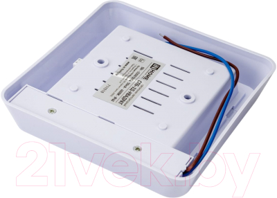 Светильник ЖКХ INhome СПБ-2Д-Квадрат / 4690612022079