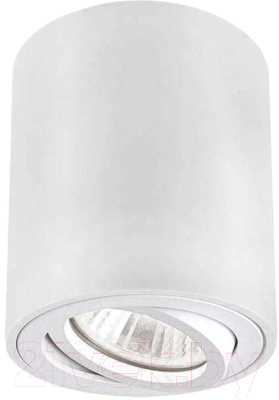 Точечный светильник INhome НПБ Цилиндр-GU10-RT-WH / 4690612053639 - фото