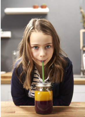 Блендер стационарный Moulinex LM811132