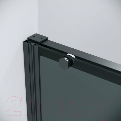 Душевая дверь Grossman Galaxy 110x195 / 100.K33.01.110.21.10